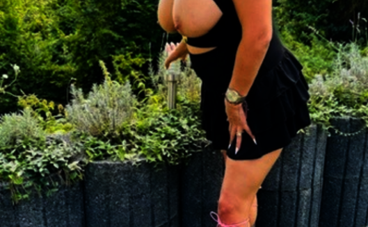 Nikol (29 )